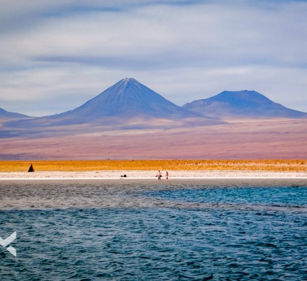 2016.10-Atacama-Capa-Cejar-1-1